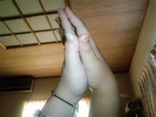 Gerry再び（　ﾟ｀Ａ&#180;ﾟ　）