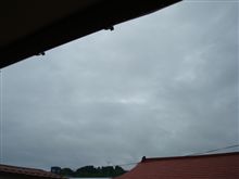 ６月７日　これから晴れてきそうな日曜日、おはです～♪