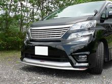 カメ進化