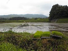 米は買うもんでなく