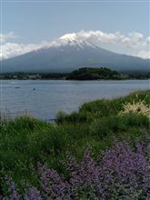 山梨詣