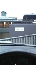 白クマのお湯浴び(笑)