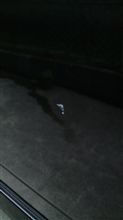 ﾃﾞｨｽﾞﾆｰの駐車場で(T_T)