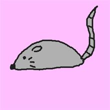 チュ～チュ～