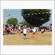 今日も運動会でした。