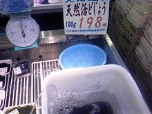 動物？！　植物？！　＾＾)v
