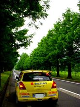 メタセコイア並木とＳ１６００レプリカ