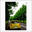 メタセコイア並木とＳ１６００ ...