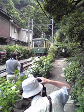 鎌倉散策