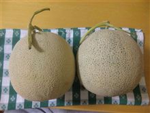 メロンのシーズンがやって来ました。