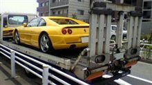早く帰ってきてね～(T_T