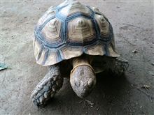 おひさしぶりですねぇ おひさしぶりですねぇ