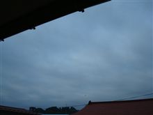 ６月１４日　本日はサイクリングデーなり、おはです～♪