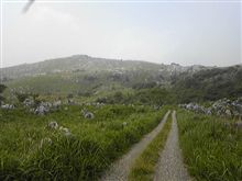 平尾台