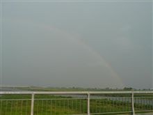 利根川に掛かる大きな虹♪