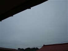 ６月１６日　鈍より曇り空の火曜日、おはです～♪