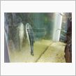 熱帯魚水槽に追加