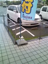 馬鹿？それとも･･･。