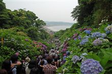 一栄一落