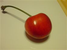 美味しい便り