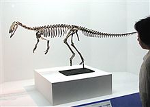 恐竜展
