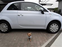 後続車泣かせ。
