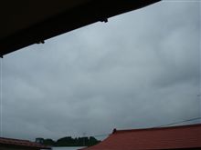 ６月１9日　お休み金曜日、おはです～♪