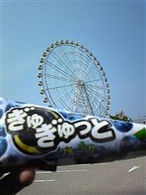 先日は…