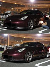 昨日のオオグロの写真をアップしました