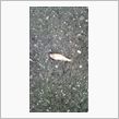 こんなところでも怪現象