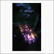 BBQ大会