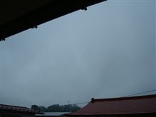 ６月２１日　シトシト雨降り日曜日、おはです～♪