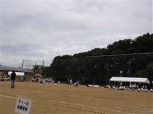 スポーツフェスタ！
