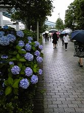 雨のじゃくな法則。。。！？