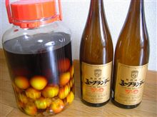ブランデー梅酒