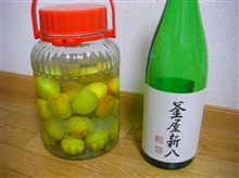 日本酒梅酒