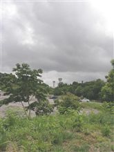 プラグが溶ける
