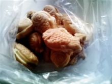 ミニ鯛養殖