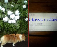 帰還(〒∇〒)＆ダイジェスト