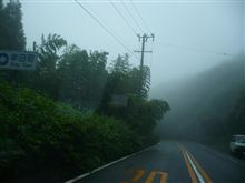 昨日は雨…
