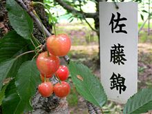 延期．．．