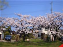 今日でおしまい