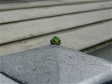 ここは俺の居場所だ