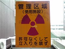 定期健診日