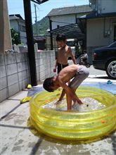 今週もプール