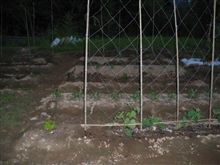 野菜を追加しました。