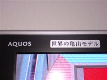 カメ