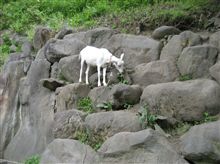 長野県の温泉地めぐり