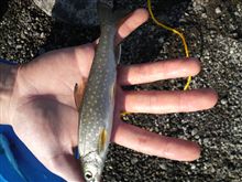 休日は支笏湖にて・・・・ 休日は支笏湖にて・・・・