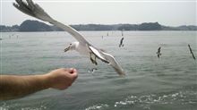 【社員旅行】東北方面に行ってきますた【一泊二日】
